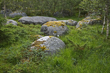 Granite rocks at Skulpturlandskap at Forvik in Norway, Europe 
