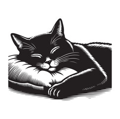 A Cat Sleeping with pillow vector illustration design