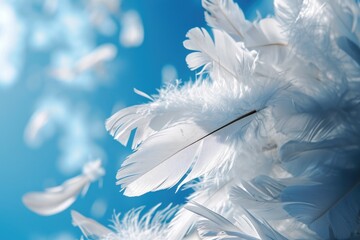 Fototapeta na wymiar Blue and White Feather Allegory: A Whimsical Depiction of Freedom and Grace