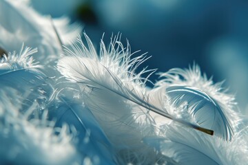Serene Sky: Abstract Blue and White Feather Pattern