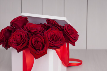 gift with flowers. bright burgundy roses in a white gift box, close-up. valentines day concept