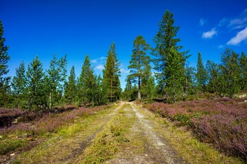 Fototapeta na wymiar Landschaft in Norwegen
