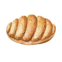 One cute scallop-shaped cookie. Pastries drawn in watercolor, illustration for menu, label, packaging, bakery or cafe isolated on white background