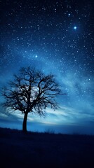 Moonlit night sky contributing to healthy ecosystems , moonlit night sky, healthy ecosystems, night