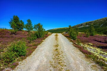Landschaft in Norwegen - 730004297