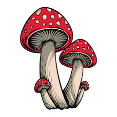mushroom sticker design, mushroom vintage style drawing vector illustration