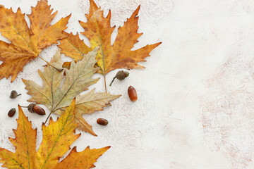Naklejka na ściany i meble image of autumn leaves close up over white vintage wooden background