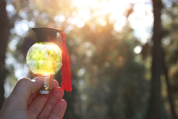 light bulb and graduation cap nature. Idea of education, technology