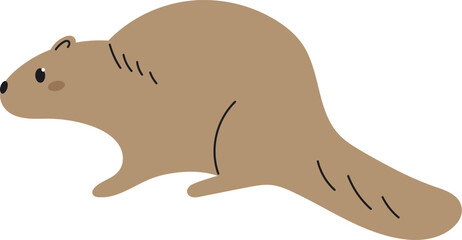 Beaver Hand Drawn