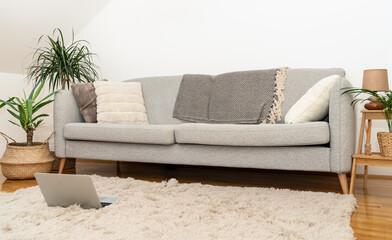 Grey couch in living room minimalistic interior and laptop on carpet on floor.