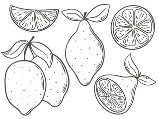 Lemons hand engraving set vector graphics. Citrus fruits ink doodle sketch style collection. Whole lemon, on branch, half, clip art. Healthy organic food isolated illustration on white background