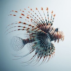 florida lionfish are an invasive species found near the coast
