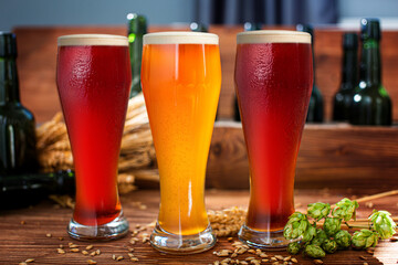 Three glasses with draft beer in front of a wooden barrel. Decoration of barley ears and fresh hops.