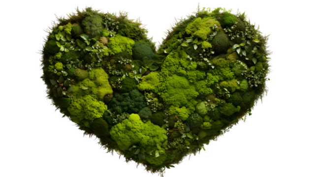 Heart shape made of grass and green trees, ecosystem, clean energy, environment, green grass heart shape isolated on transparent background