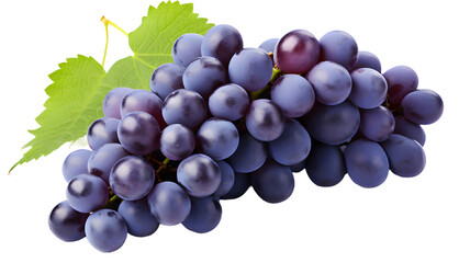 Bunch of grapes isolated, transparent PNG background