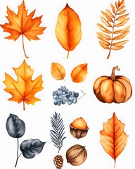 watercolor clip art set of autumn seasons leaves