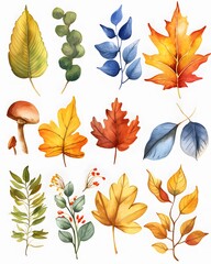 Obraz premium watercolor clip art set of autumn seasons leaves