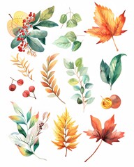 watercolor clip art set of autumn seasons leaves