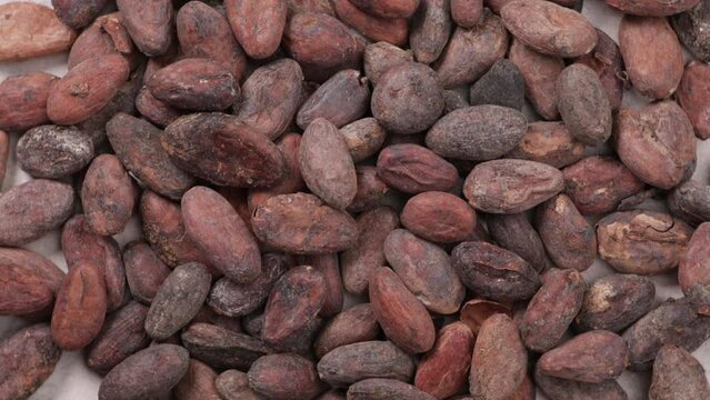 cacao beans background top view dry