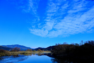 Fototapeta premium a wetland under a blue sky
