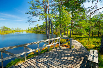 Rannametsa, Estonia. Dunes and bog