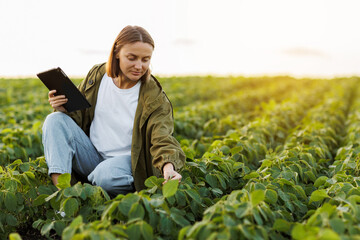 Modern agribusiness. Female farmer with digital tablet examines and checkins green leaves of...