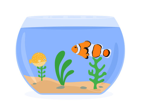 orange clownfish and yellow pufferfish in fishbowl clip art preview