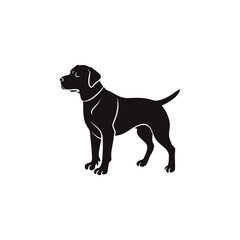 Fototapeta premium labrador dog vector silhouette