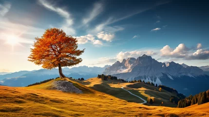 Photo sur Plexiglas Dolomites Panoramic morning view