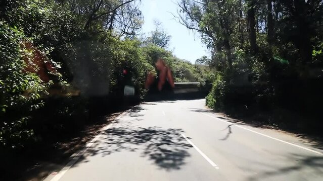 Driving vehicle in mountain road view inside from the vehicle.