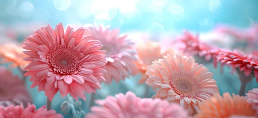 Foto op Plexiglas Pink gerbera flowers on a blue background. © warmjuly