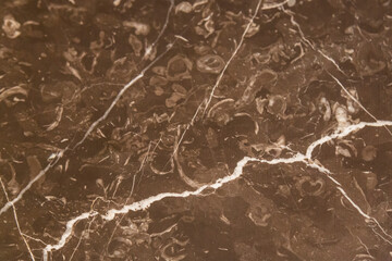 Close up of stone texture with outstanding details as a background designed by old mother nature