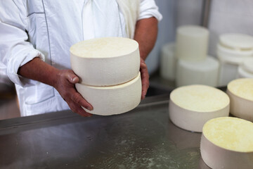Fototapeta na wymiar Fresh Dairy Products - Goat Cheese in Hands of Expert Farmer