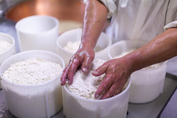 Fototapeta premium Farmer Molding Fresh Goat's Curd into Cheese Shapes