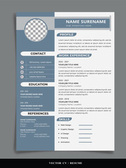 Professional Resume CV vector Graphic  design Templates