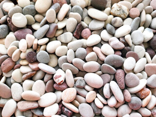Multicolor of pebble stones for background purpose