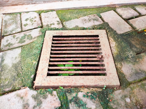 rusty iron grill cover for drainage system with mossy concrete paving blocks
