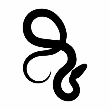 silhouette of a black snake, Chinese New Year of the Chinese zodiac snake