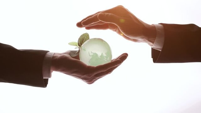 Human Hand Holding the World in Hands on white background