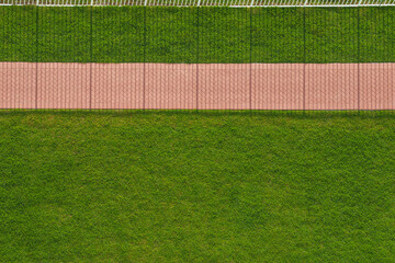 green grass texture - well-groomed turf in the garden