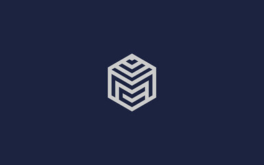 letter mc with hexagon logo icon design vector design template inspiration