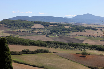 Fototapeta premium The rural landscape near Pienza in Tuscany. Italy