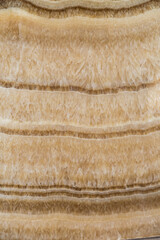 Close up of onyx marble stone texture with outstanding details as a background