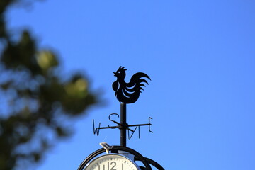 公園の風見鶏と時計