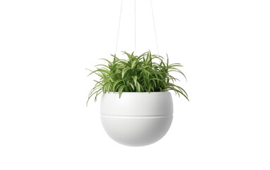 Plant pot PNG. Plastic pot PNG. Hanging pot PNG.