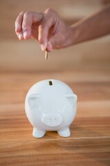 Hand Inserting Coin Piggy Bank 5