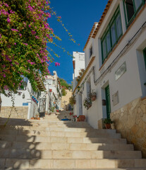 Street with beautiful houses and flower in the old city of Alicante on a sunny day