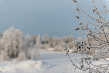 Winter landscape in the park on a clear day