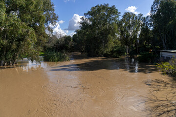 Nahal Alexander (Alexander Stream) on a beautiful day after many days of rain.  Flooding of Nahal...