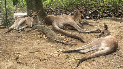 Port Douglas, Queensland, Australia